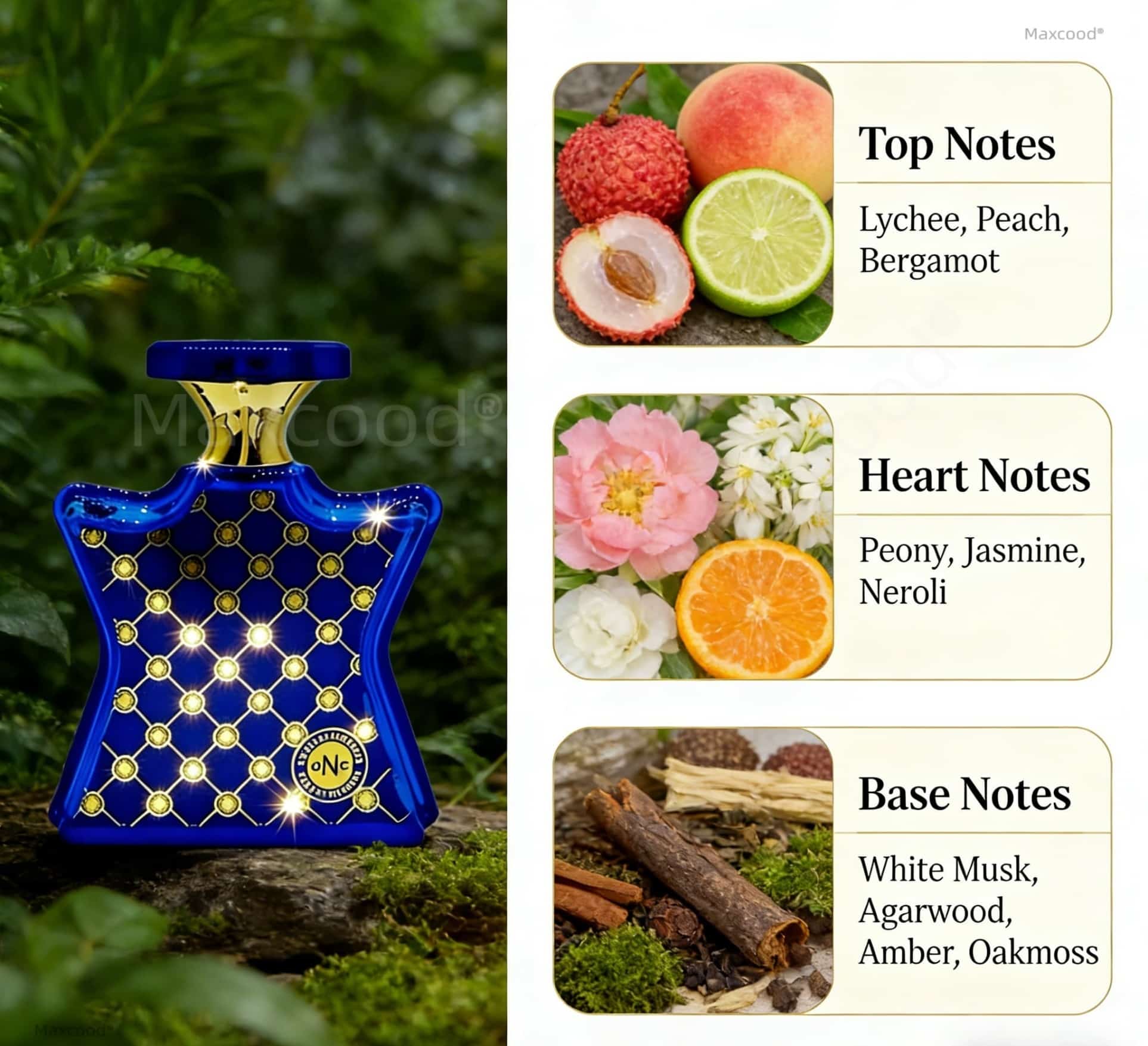 Zitrus- und Blumenparfüm, lang – Perfume Fragrance Dupe Bewertung und Preis