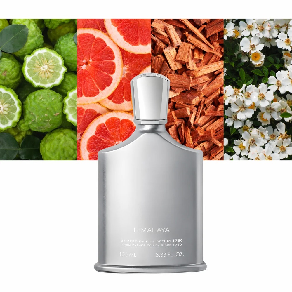 Aventus Duft für Männer 100ml  – Perfume Fresh Fragrance Bewertung und Preis