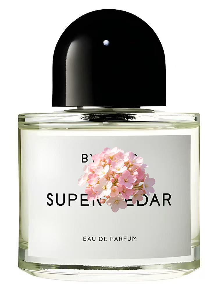 Unisex Eau de Parfum 100ml 3.4 – Perfume Fragrance Dupe Bewertung und Preis