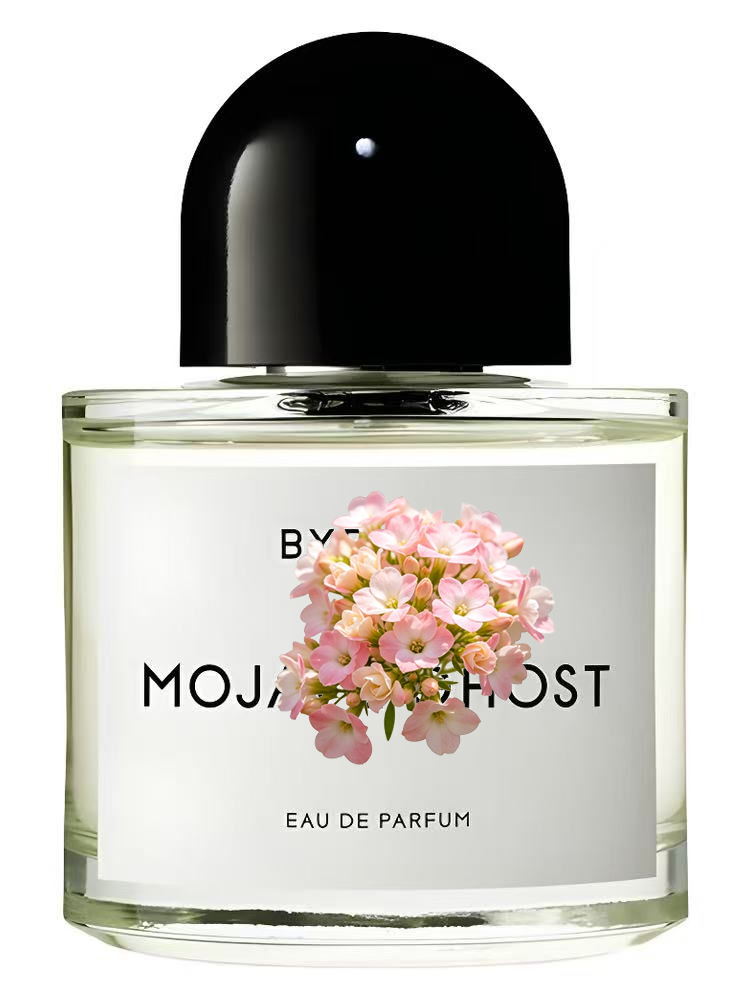 Unisex Eau de Parfum 100ml 3.4 – Perfume Fragrance Dupe Bewertung und Preis